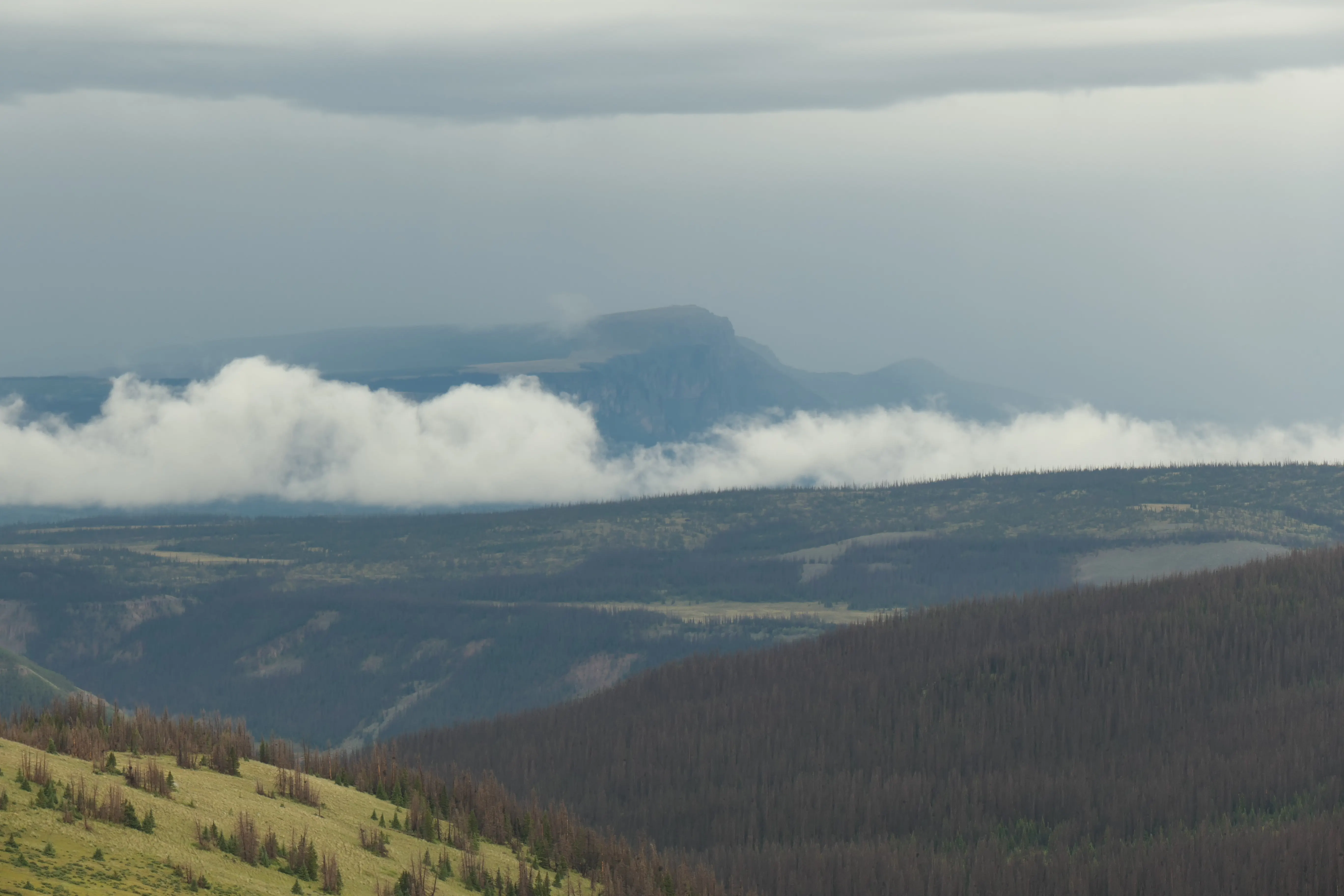 Gewitterstimmung in den San Juan Mountains